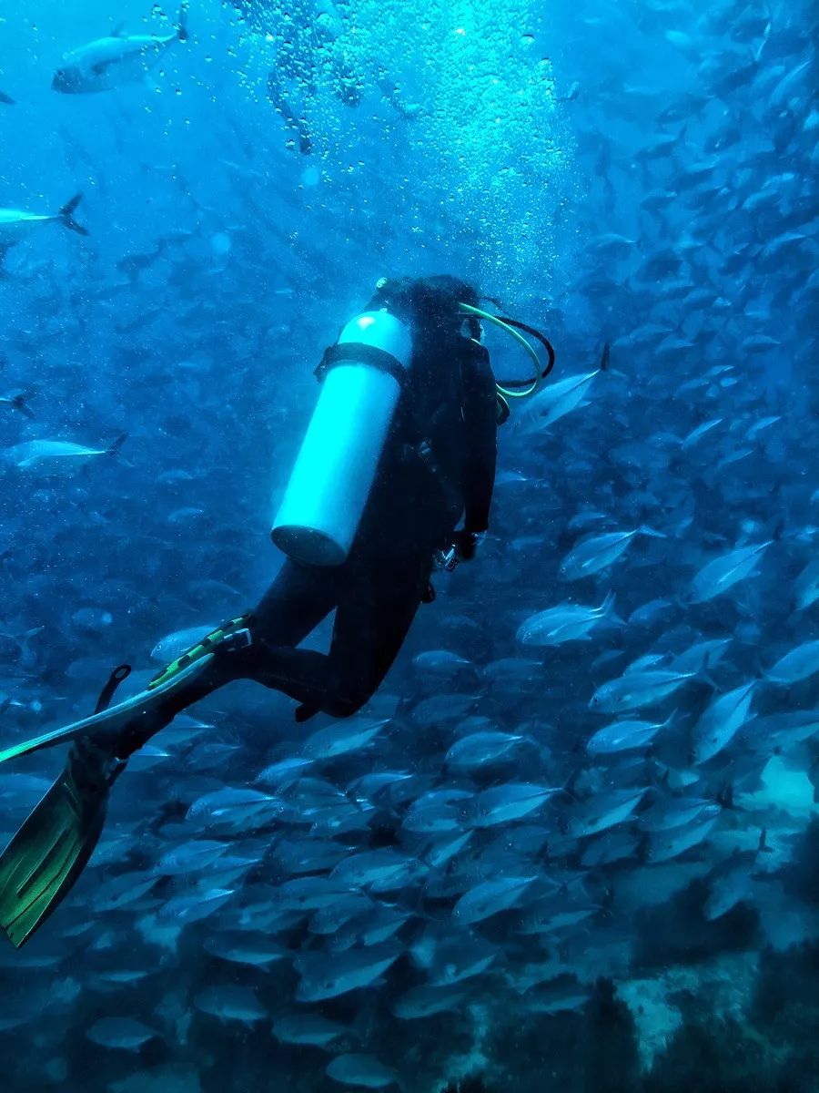 适合暑期去的免签落地签国家,免签落地签旅游推荐