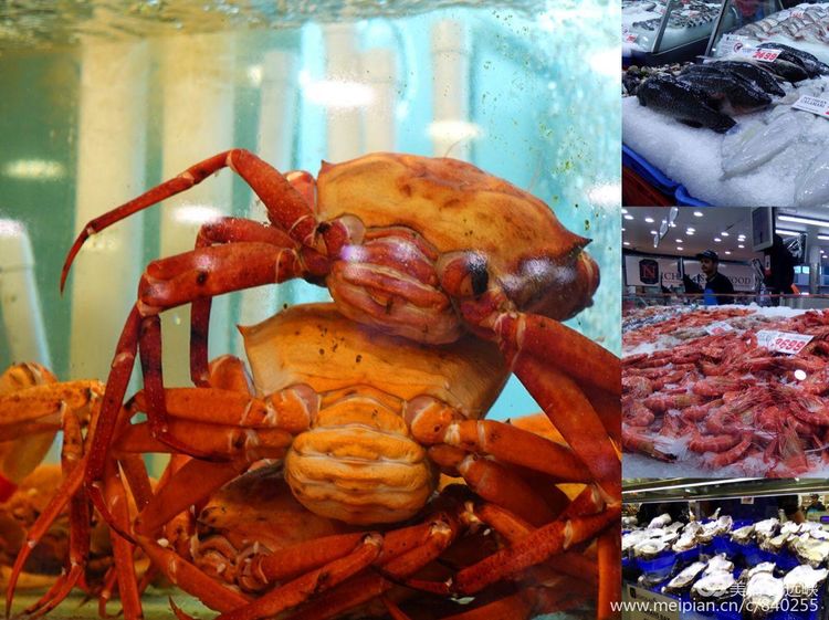 吃货在澳洲｜一边吃药，一边大吃海鲜，自嘲：宁愿疼死，不愿馋死