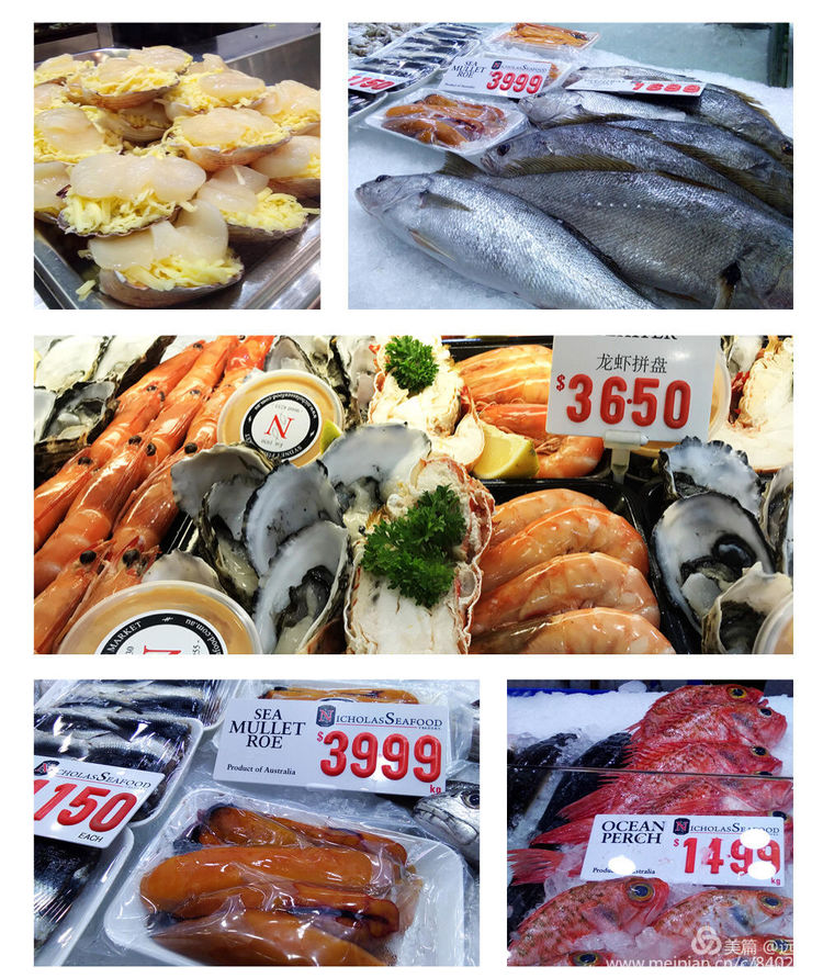 吃货在澳洲｜一边吃药，一边大吃海鲜，自嘲：宁愿疼死，不愿馋死