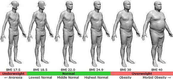 斐讯s7体脂秤评测,斐讯体脂秤s7怎么连5gwifi
