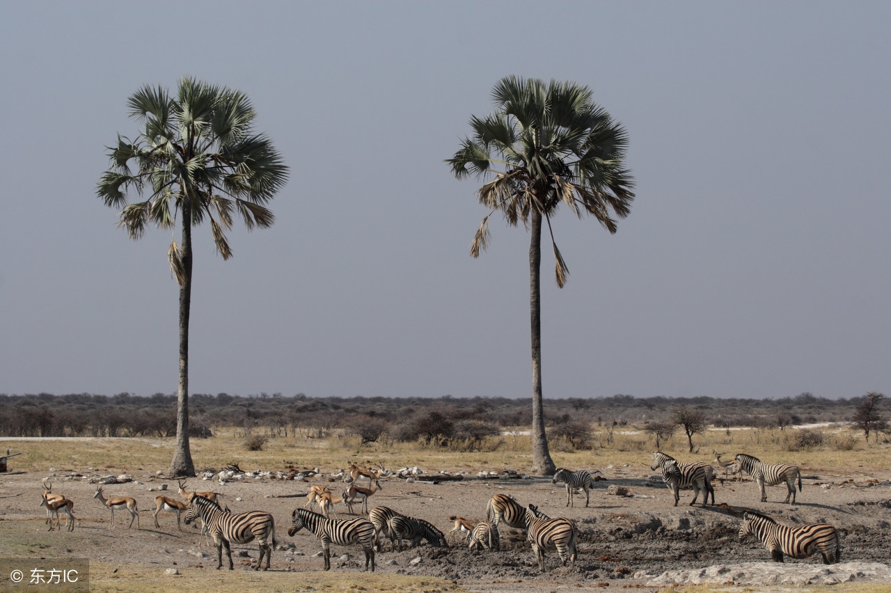 当生活让你防不胜防，你怎么办？稍不注意就犯错，你怎么办？