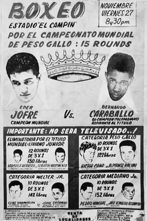 史上最伟大的拳击手前三名,巴西最有名的拳击手是谁