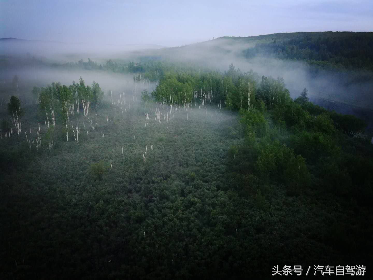 同一条路春夏秋冬,同一条路十年前和十年后