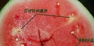 作为一位吃瓜群众，最害怕吃到激素西瓜了，那什么是激素西瓜呢？