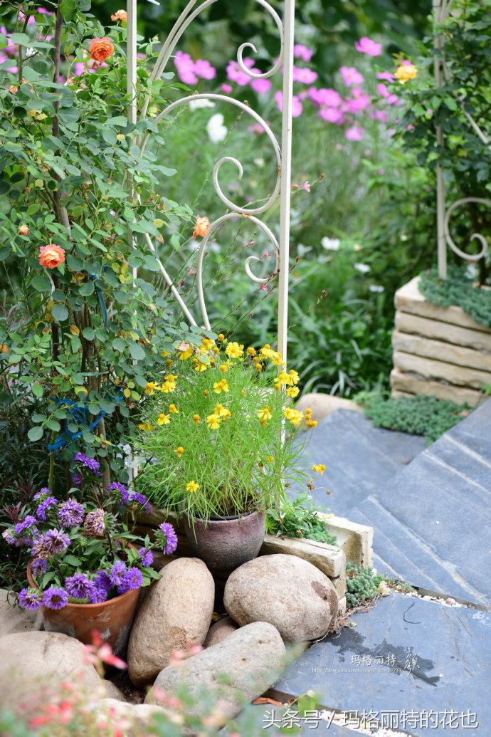 花园蚊虫多怎么解决,花园蚊子多怎么处理