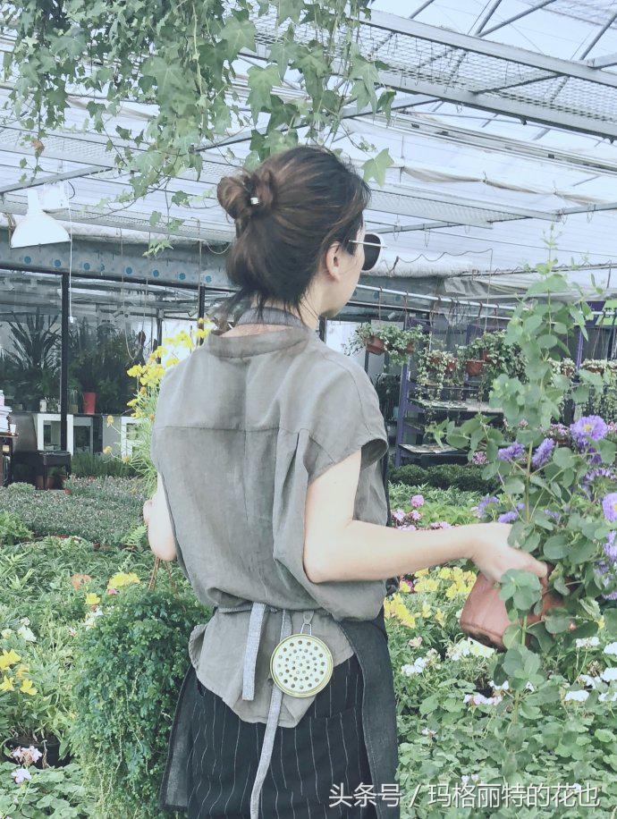 花园蚊虫多怎么解决,花园蚊子多怎么处理