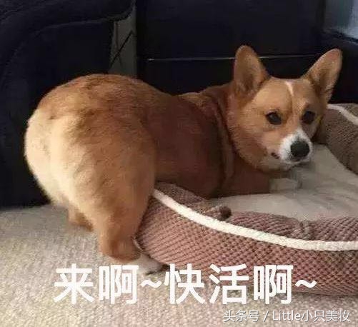 新手值得推荐的平价彩妆产品,平价又好用的大牌彩妆推荐