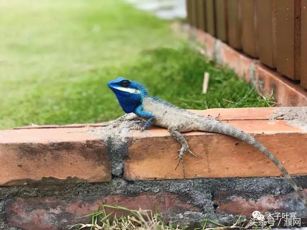越南芽庄七日游｜寻找幸福的足迹