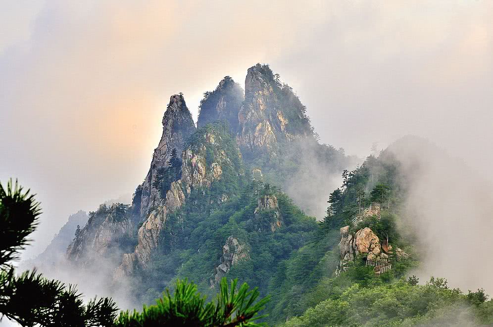 西峡网红打卡地吃饭 (南阳网红打卡地西峡)