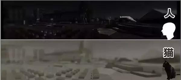 又近视又散光,有近视但是眼睛很亮