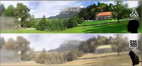 又近视又散光,有近视但是眼睛很亮