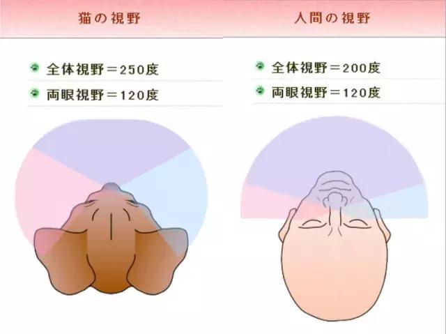 又近视又散光,有近视但是眼睛很亮