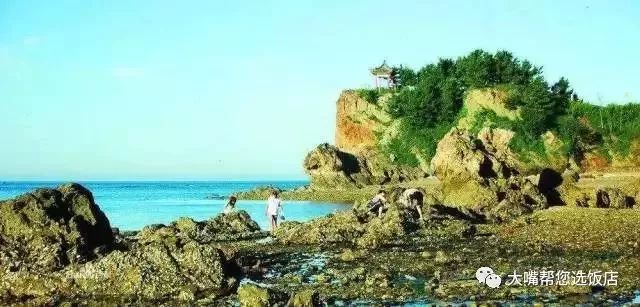 玩遍大连,玩遍大连攻略