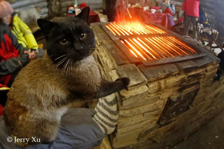 俄罗斯战斗民族冬天的日常,俄罗斯战斗民族视频日常