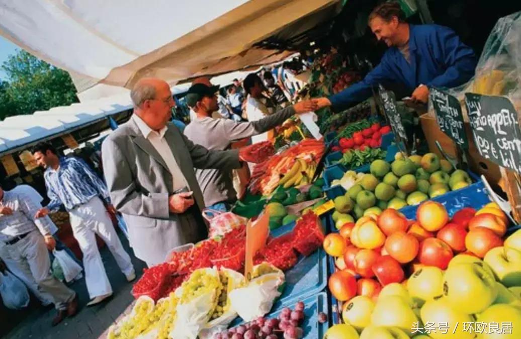 在荷兰做什么比较挣钱,在荷兰干什么赚钱