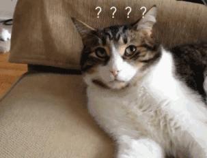 金秘书为何那样小时候被关,金秘书为何那样到底和谁在一起了