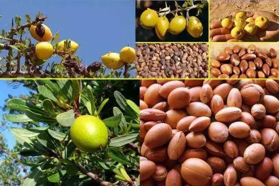 又见全智贤的撩发杀，这才是夏发该有的样子啊！