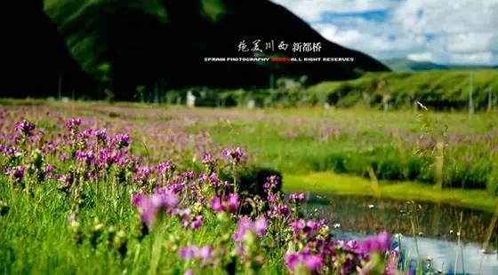 四川甘孜稻城亚丁适合旅游时间,甘孜旅游稻城