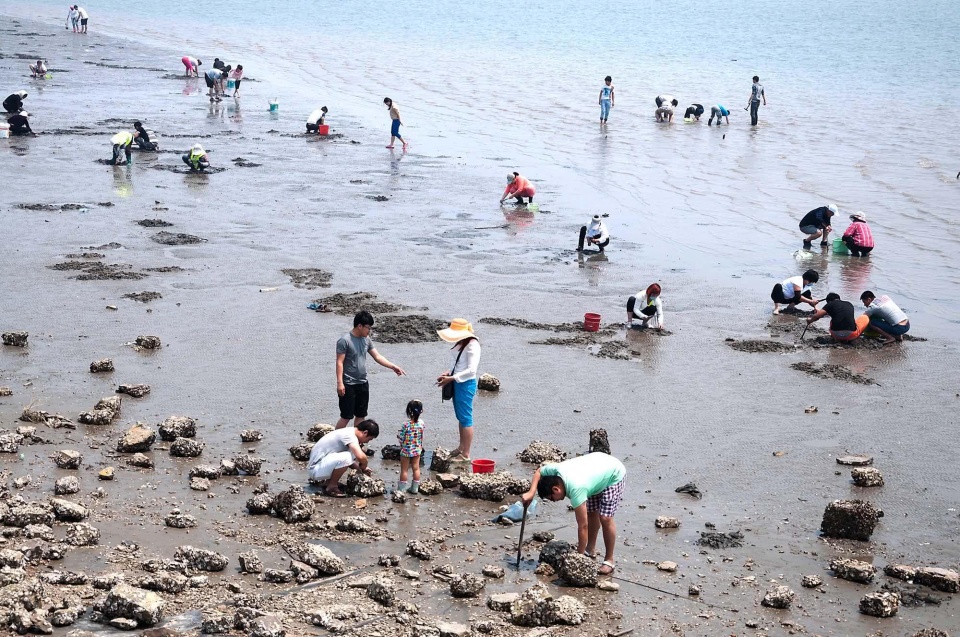 河北曹妃甸旅游攻略,曹妃甸游玩攻略