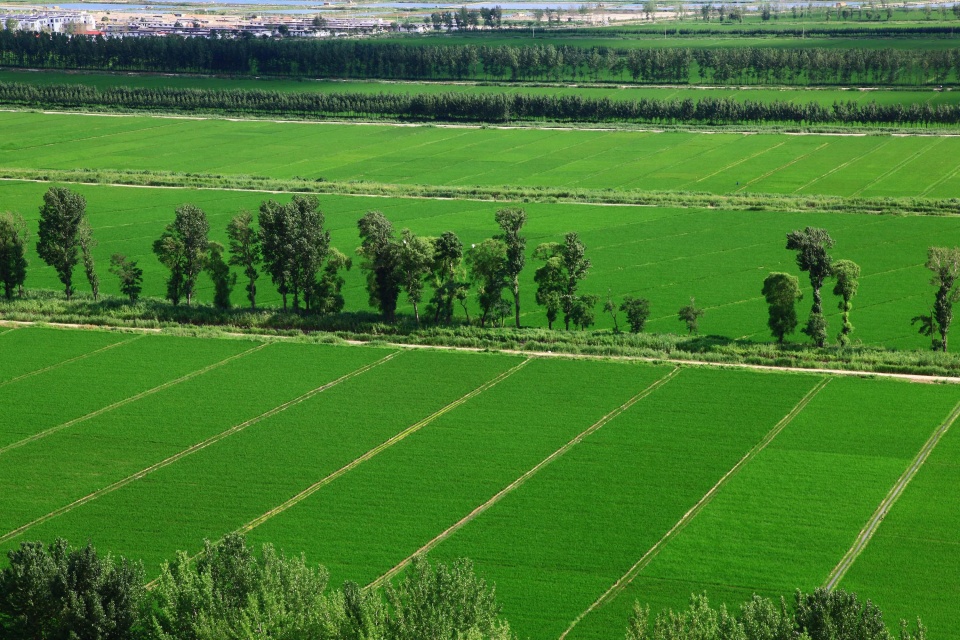河北曹妃甸旅游攻略,曹妃甸游玩攻略