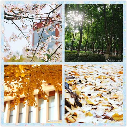 武汉科技大学城市学院临空,武汉科技大学城市学院如何