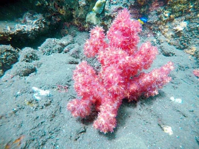 宸村帢宀涘浘鍏板娼滄按浜嬩欢,宸村帢宀涘浘鍏板娼滄按鏀荤暐