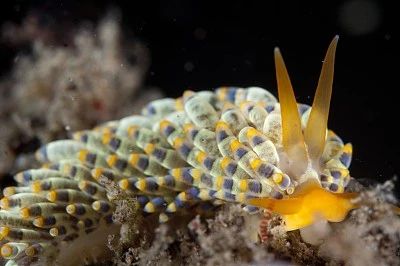 宸村帢宀涘浘鍏板娼滄按浜嬩欢,宸村帢宀涘浘鍏板娼滄按鏀荤暐