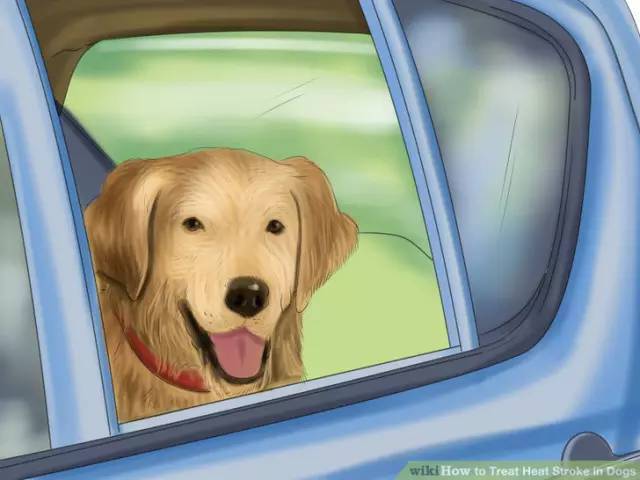 狗狗夏日中暑怎么办,夏季狗狗中暑怎么办