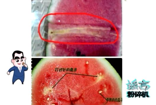 西瓜很红是打了催红素吗,特别甜的西瓜是不是打了药