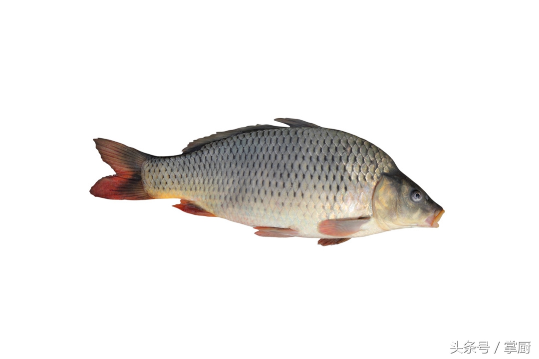 铁锅炖鱼的最正宗的做法视频,东北铁锅炖鱼正宗做法