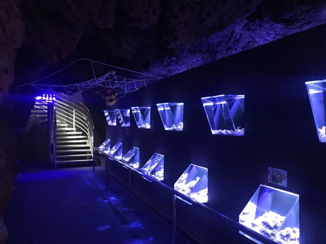 包头海洋世界免费景点,包头海洋动物海底世界门票