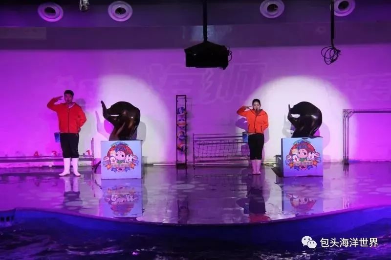 包头海洋世界免费景点,包头海洋动物海底世界门票