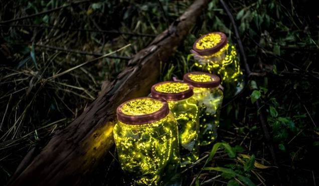 包头海洋世界免费景点,包头海洋动物海底世界门票