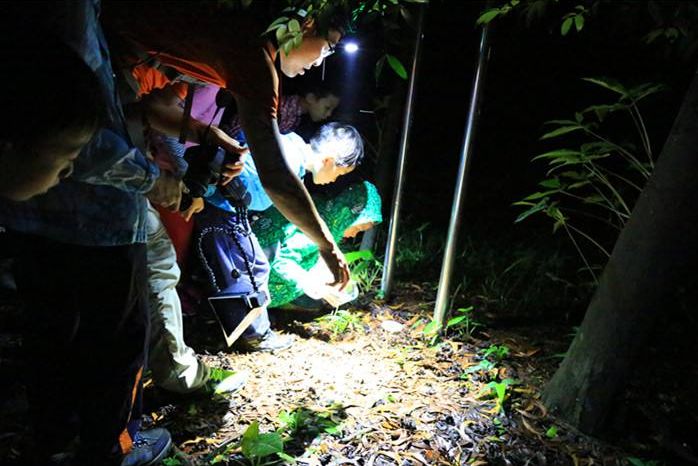 包头海洋世界免费景点,包头海洋动物海底世界门票