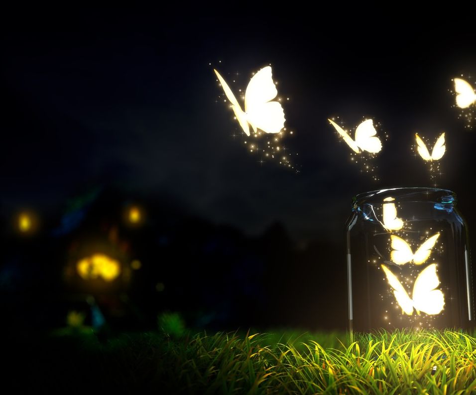 包头海洋世界免费景点,包头海洋动物海底世界门票