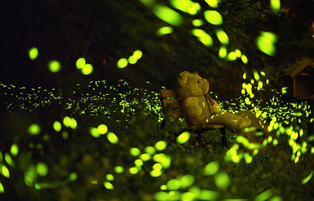 包头海洋世界免费景点,包头海洋动物海底世界门票