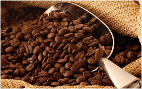 越南无人购买的特产 (越南的稀有特产)