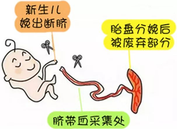 不用针提拉紧致皮肤的机器,冻龄防早衰精华乳