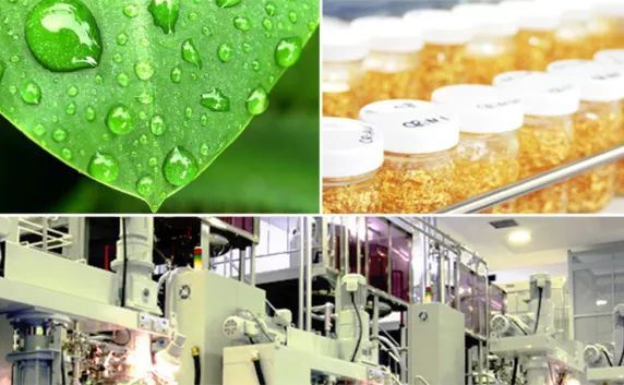 不用针提拉紧致皮肤的机器,冻龄防早衰精华乳