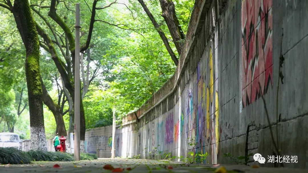 武汉最美林荫道,武汉最美林荫道排名