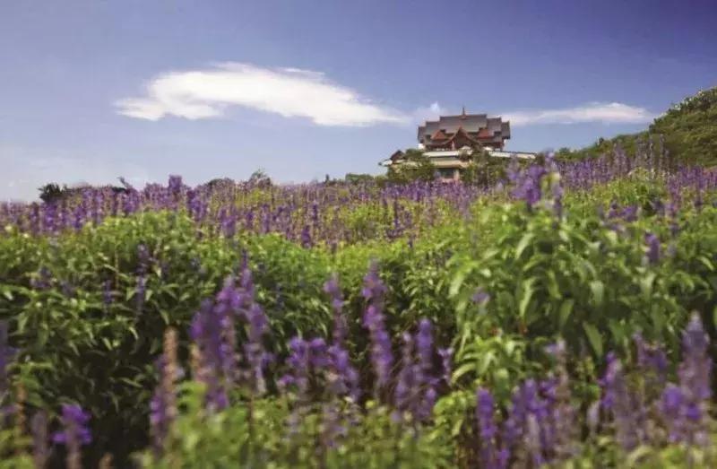 西双版纳著名建筑酒店,西双版纳旅游最美的酒店