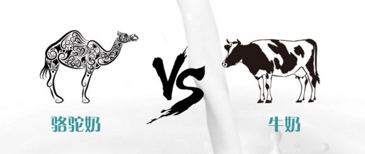 骆驼奶真的多少钱,骆驼奶十几元1罐500克是真的吗
