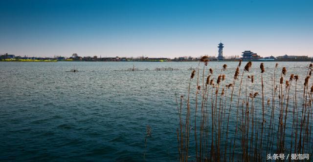 江苏溱湖国家湿地公园,江苏溱潼湿地公园