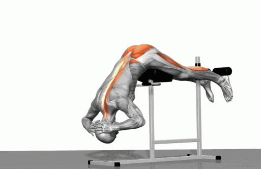 小佬健身:想要蝙蝠背?教你7招虐出C罗的蝙蝠背,拿走不谢