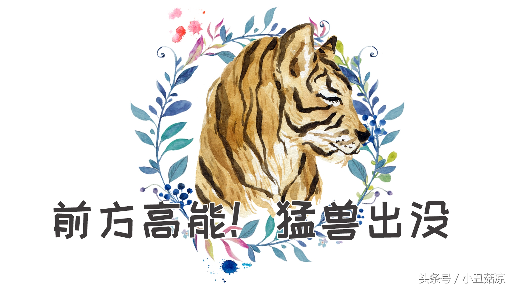 前方高能!疯狂动物城有猛兽出没,请保管好自己的小心脏!