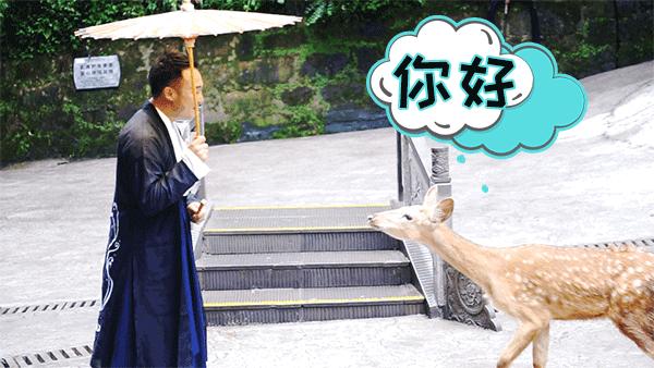 前方高能!疯狂动物城有猛兽出没,请保管好自己的小心脏!