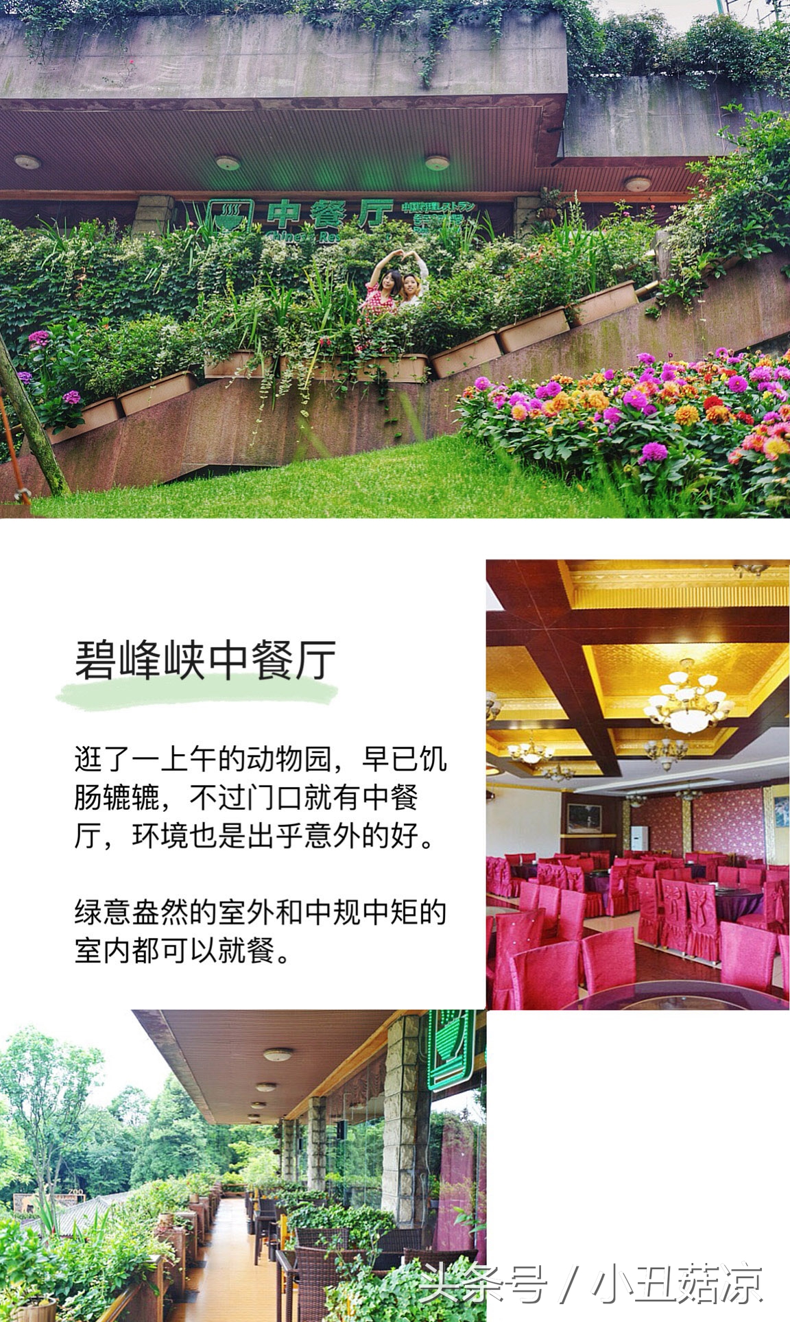 前方高能!疯狂动物城有猛兽出没,请保管好自己的小心脏!