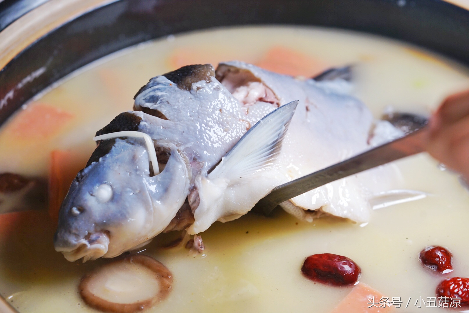 前方高能!疯狂动物城有猛兽出没,请保管好自己的小心脏!
