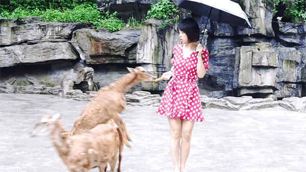 前方高能!疯狂动物城有猛兽出没,请保管好自己的小心脏!