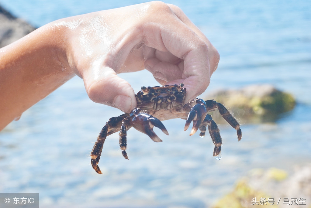 容易有寄生虫的食物千万别多吃,这五种食物千万少吃寄生虫非常多